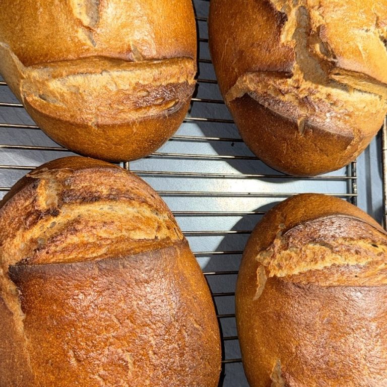 Sauerteigbrot selber backen - Brotbackkurse bei WILDHAG im Harz Vier frisch gebackene, goldbraune Sauerteigbrote mit eingeschnittener Kruste liegen auf einem Backgitter.
